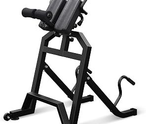 8 Best Roman Chairs for Core and Back Training
