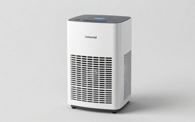 Best Dehumidifier for a Home Gym: Stop Sweat, Rust and Odor